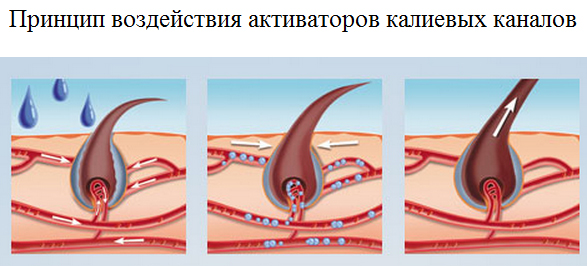Методы лечения волос, восстановление калиевых каналов, укрепление волос